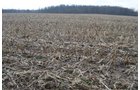 Property photo 31 - 98+/- Acres Offered in 6 Tracts or Combinations, Noble County, Indiana Farm